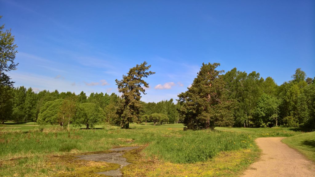 Laaja luontoselvitys Talista on valmistunut